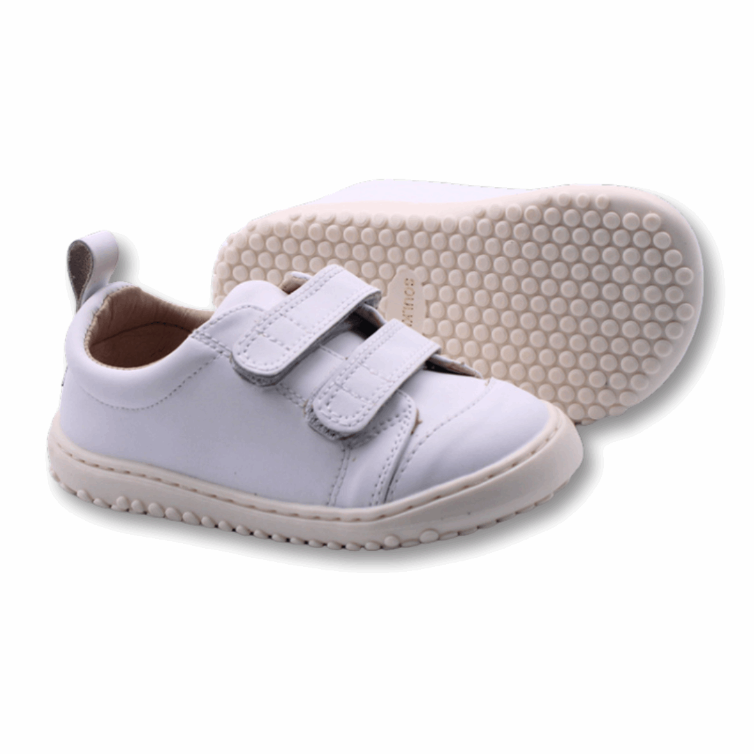 Zapatilla Ergonómica Escolar Aconcagua