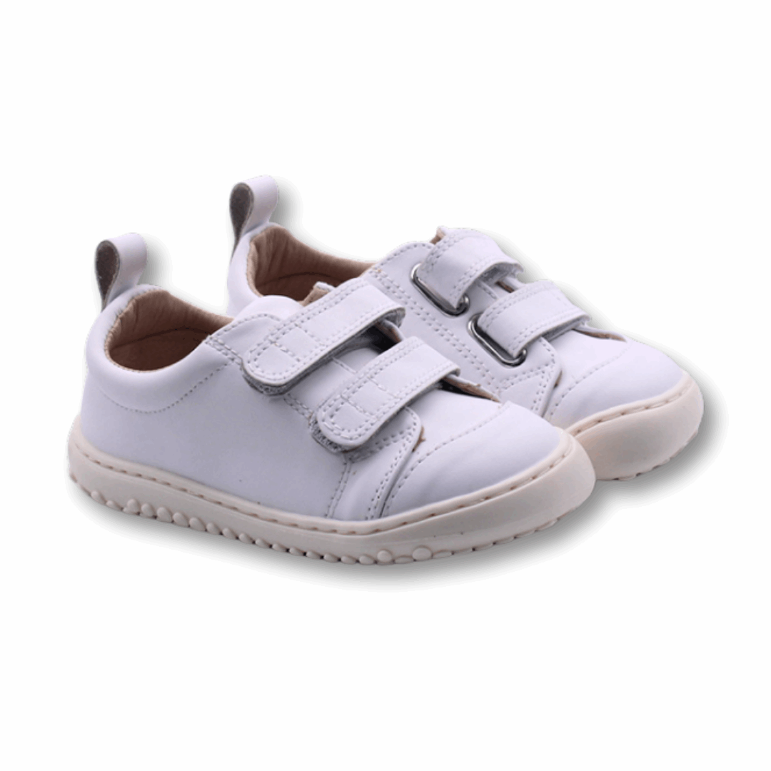 Zapatilla Ergonómica Escolar Aconcagua