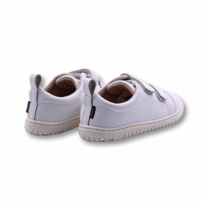 Zapatilla Ergonómica Escolar Aconcagua