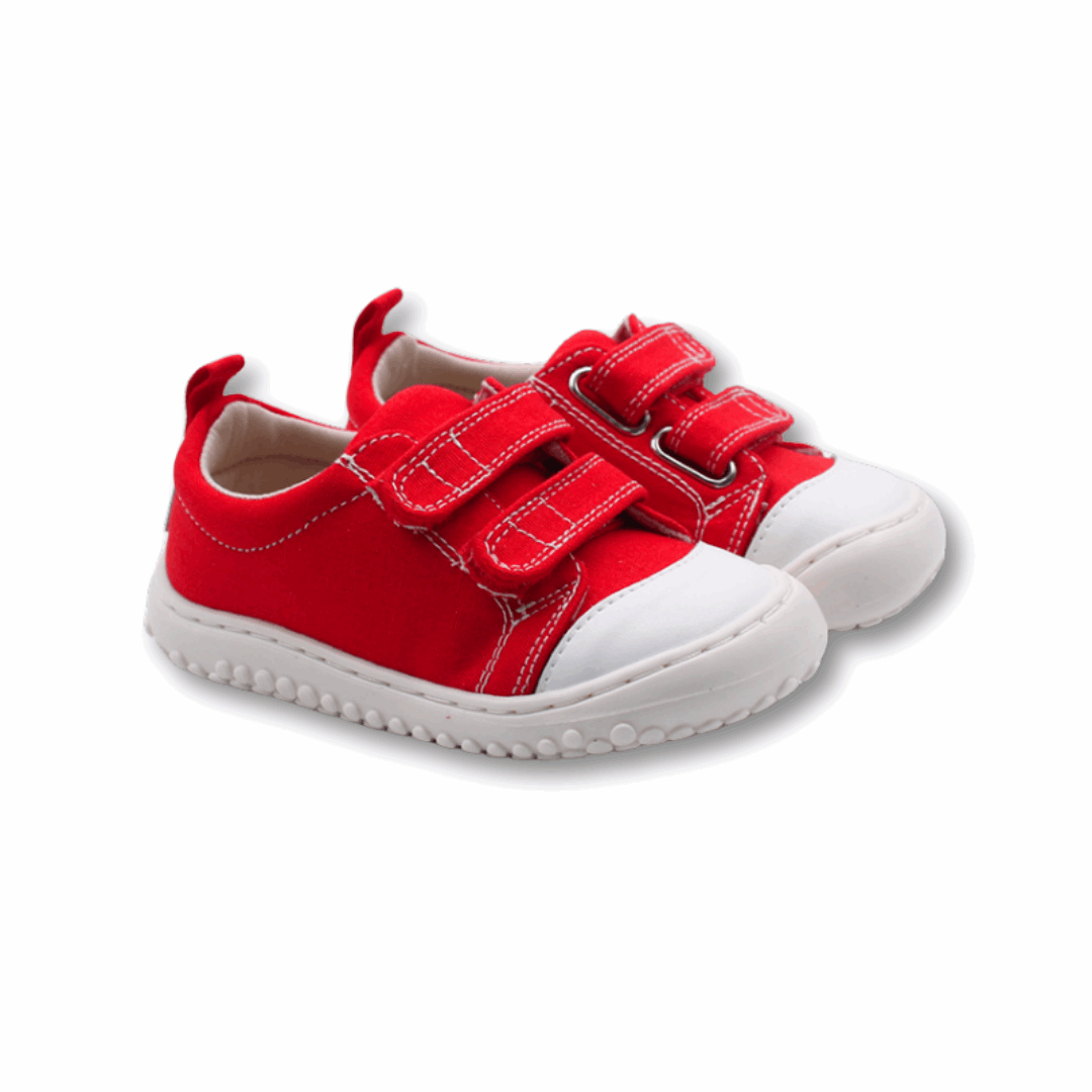 Zapatilla Ergonómica Aconcagua