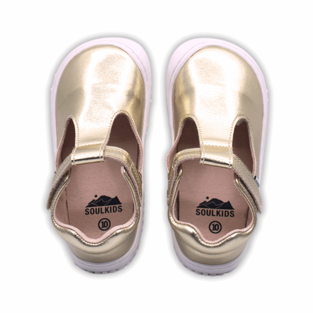 Zapatilla Ergonómica Guillermina Aconcagua