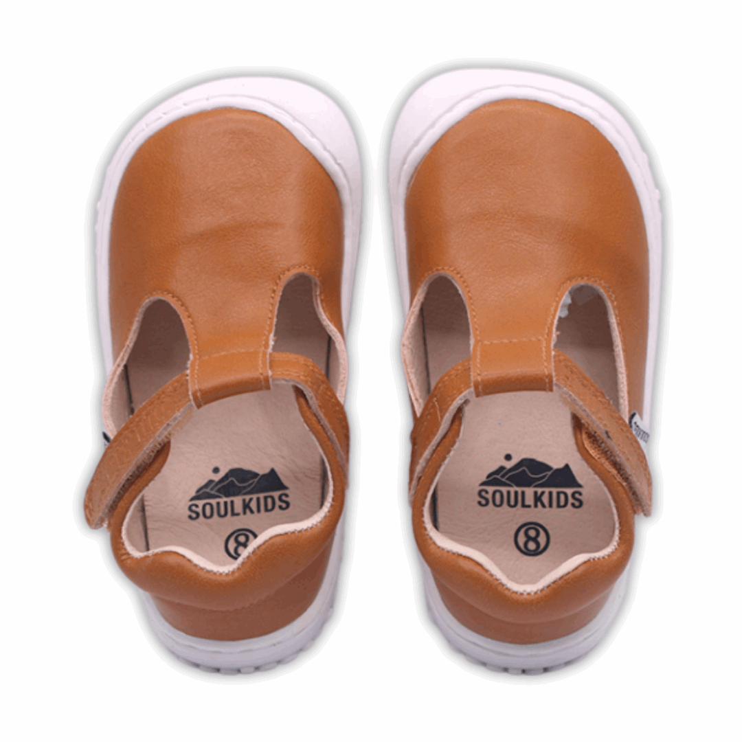 Zapatilla Ergonómica Guillermina Aconcagua